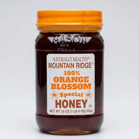 Mountain Ridge Naturally Healthy 100% Orange Blossom Special Honey, 22 oz