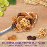 Kellogg's Original Raisin Bran Crunch Breakfast Cereal 42 oz - 2 Bags Breakfast