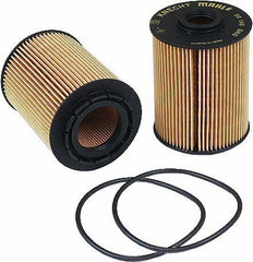 2 Oil Filters VW Golf Jetta Passat Toureg Phaeton V6