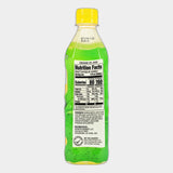 Chestnut Hill Mango Aloe Vera Drink, 16.9 fl oz