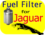 Fuel Filter Jaguar XJS XJ12 XJ6 XJ40 XJR XKR XK8 X300